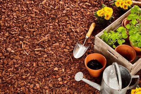 The Benefits of Adding Mulch in Your Garden