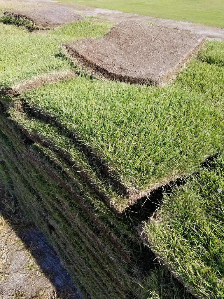 Fresh Sod St Augustine Palmetto