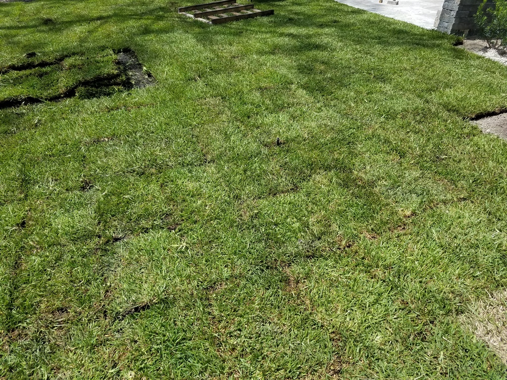 Sod & Turfgrass in Loxahatchee, FL - Palmetto Sod - Serving Palm Beach ...