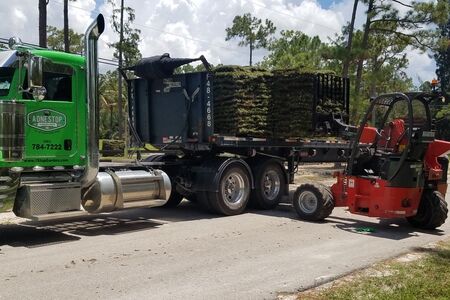 Unloading St. Augustine Palmetto @aonestopgardenshop