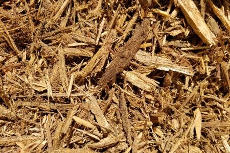 Cypress Mulch