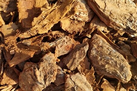 Pine Bark Nuggets Mulch