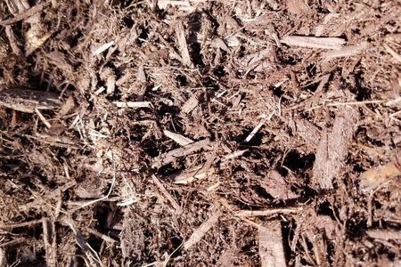 Chocolate Mulch