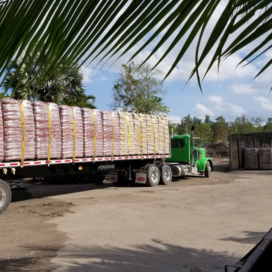 Mulch for Sale Near Me | Mulching Mistakes You Need to Avoid
