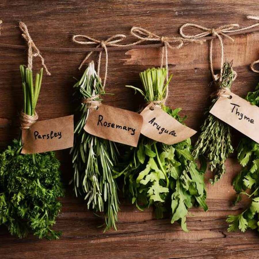 Using your Herbs
