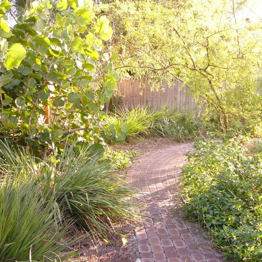 Low Maintenance Gardening 