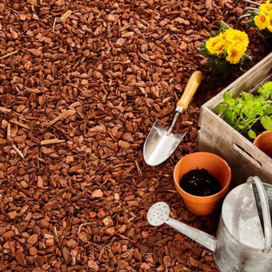 Garden Center West Palm Beach | The Benefits of Adding Mulch in 