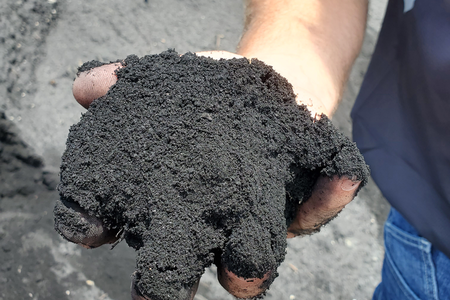  What is Biochar?