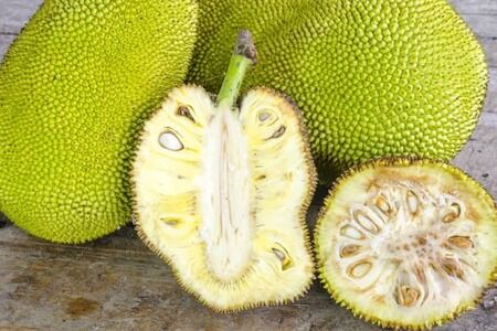 The Jackfruit 