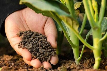 The Importance of Fertilizer