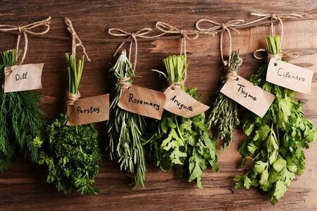Using your Herbs