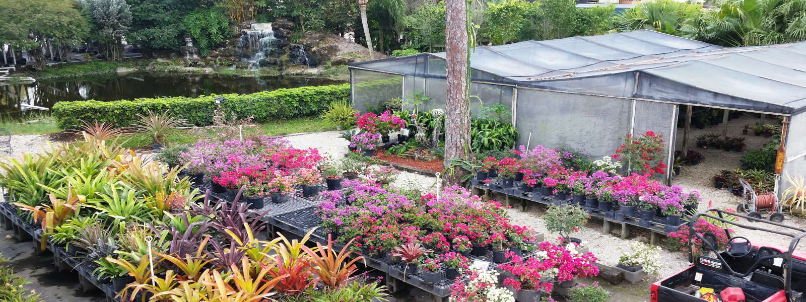 Garden Offering Plants Trees, One Stop Landscape Supply Sarasota