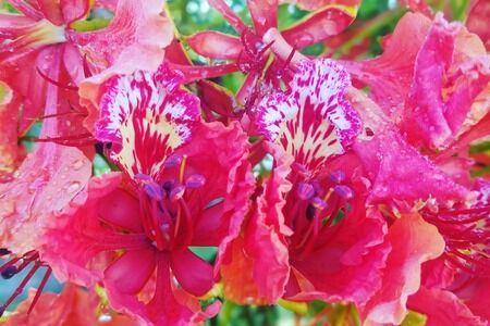 AOneStopGardenShop.com Galleries